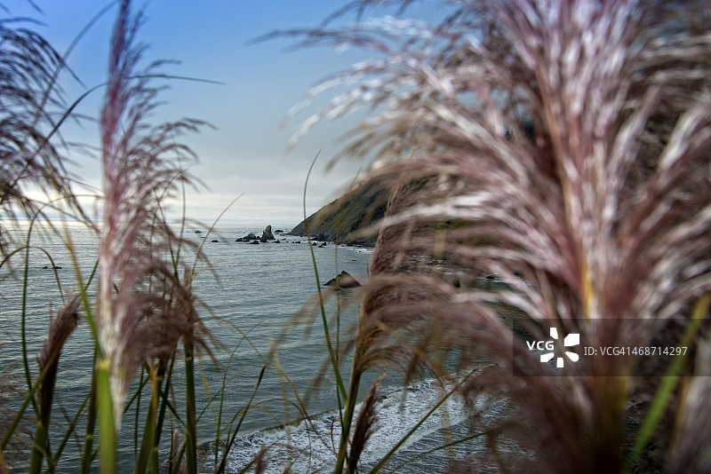 “失落海岸”海岸线图片素材