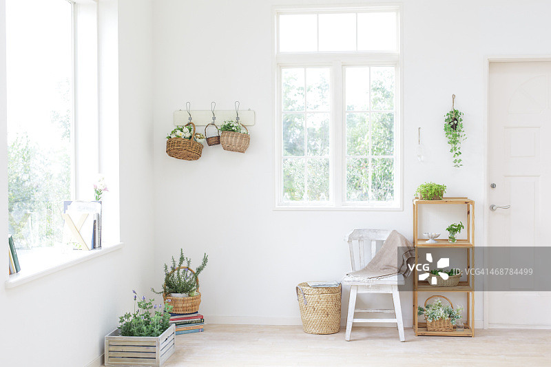 植物装饰的白色内饰图片素材