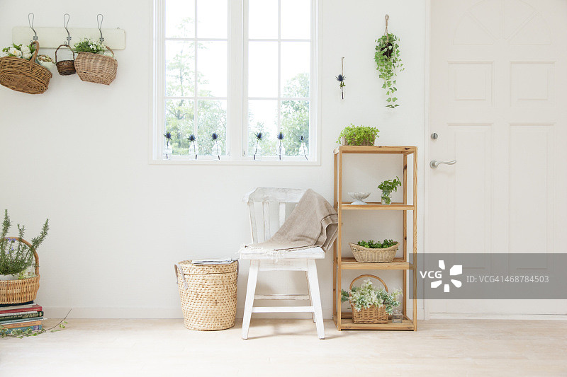 用绿色植物装饰的白色内饰图片素材