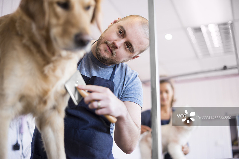 宠物美容沙龙男老板和员工图片素材