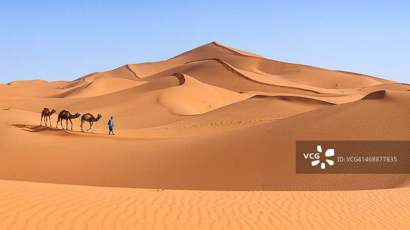 在西撒哈拉沙漠与骆驼同行的年轻图阿雷格人图片素材