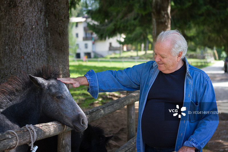 年长的男人爱抚马图片素材
