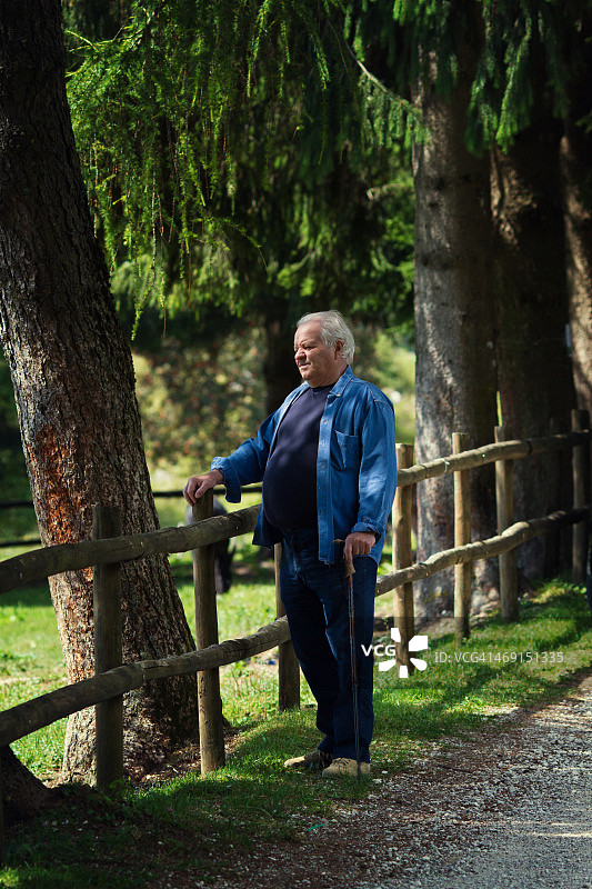 年长的男人在森林里散步图片素材