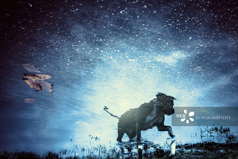 反射层图片素材