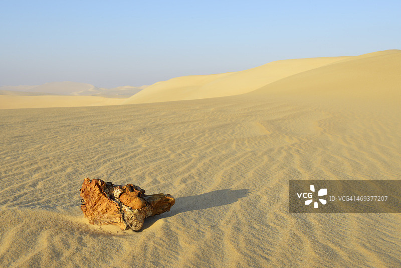 沙丘中的木头图片素材