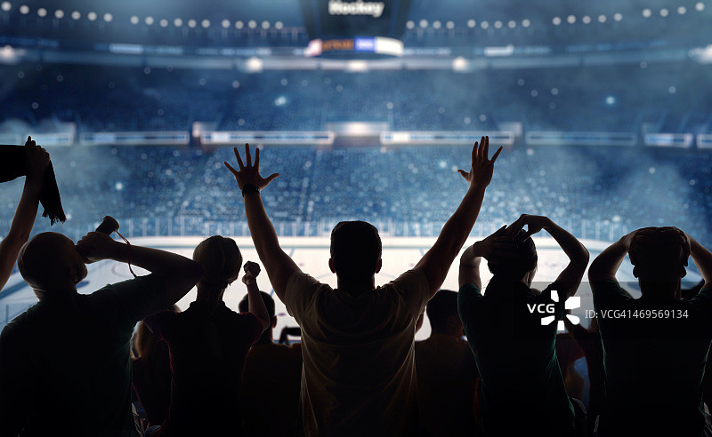 体育场内的冰球观众图片素材