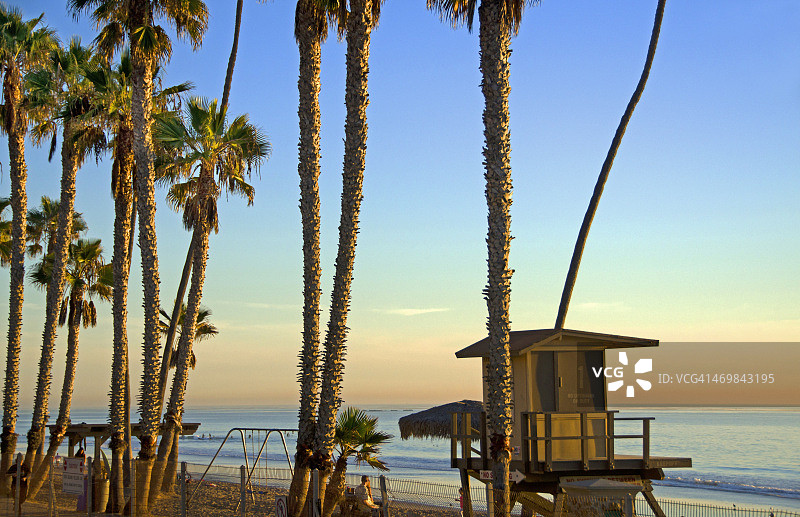 圣克莱门特海滩和棕榈树图片素材