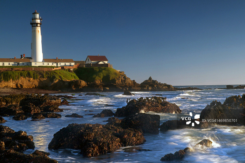 鸽子点灯塔图片素材