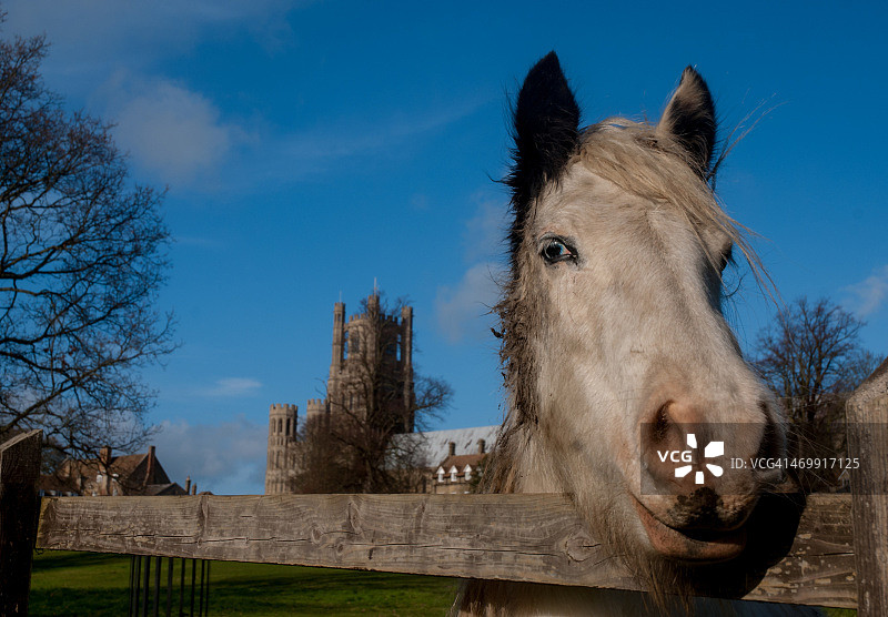 小马和教堂图片素材