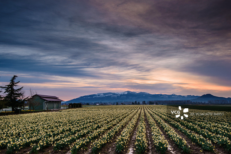 春天的到来图片素材