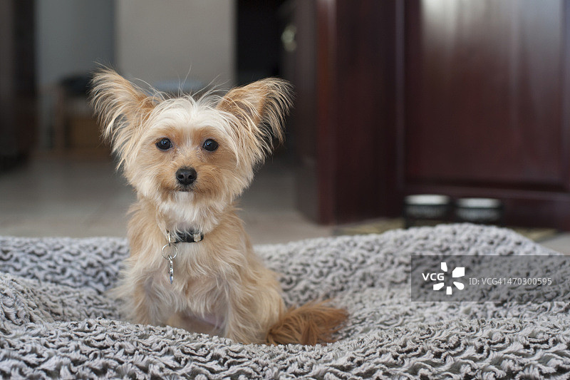 我洗耳恭听。图片素材