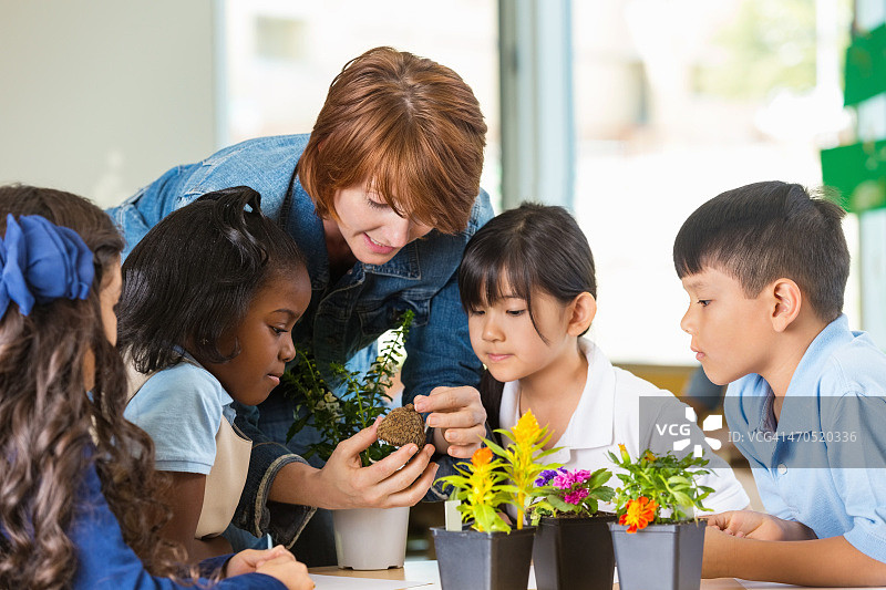 老师在私立学校用植物讲授科学课图片素材