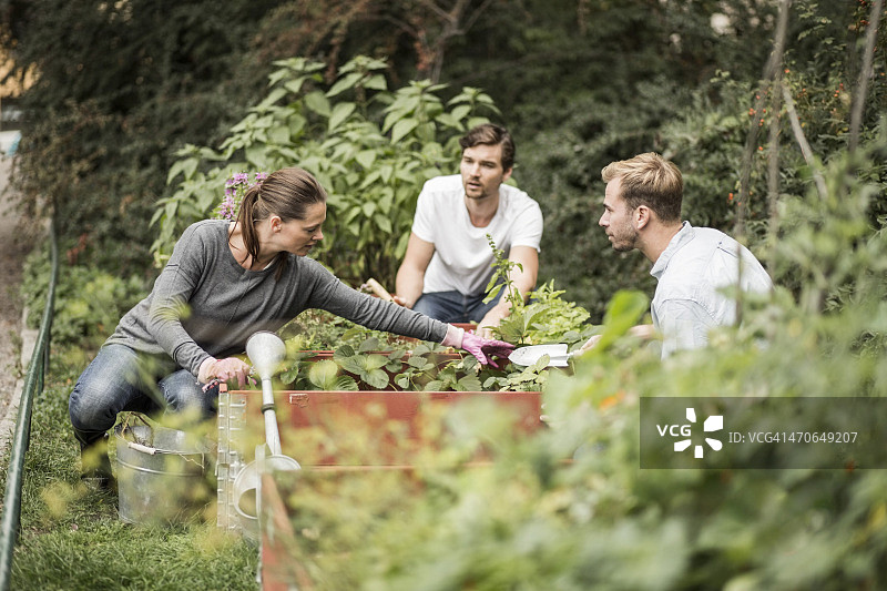 朋友们一起园艺图片素材