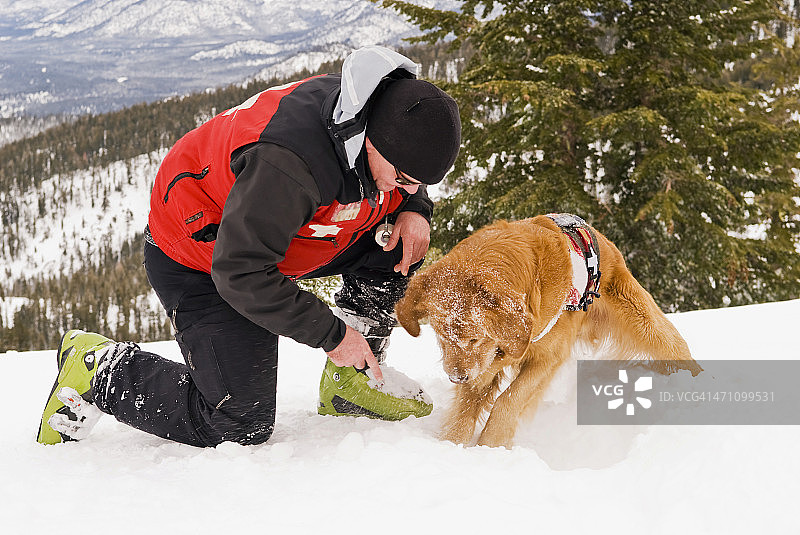 搜救犬工作图片素材