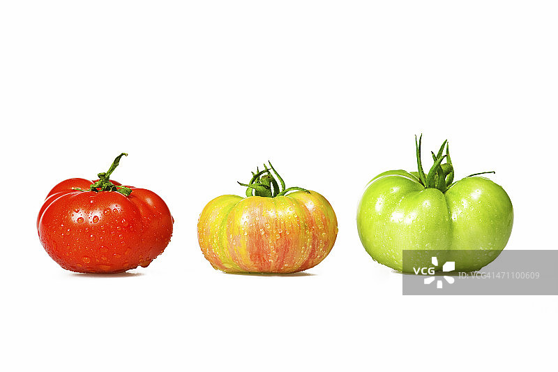 彩色番茄图片素材