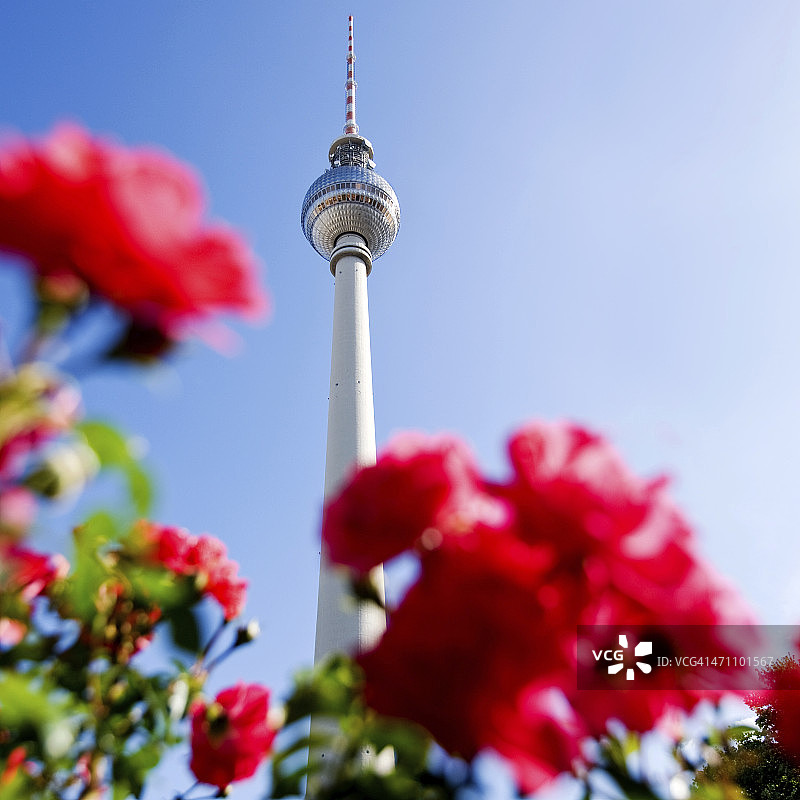 柏林夏季风光图片素材