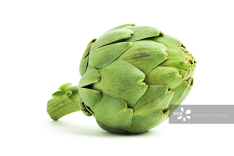 朝鲜蓟：白色背景上的新鲜绿色蔬菜图片素材