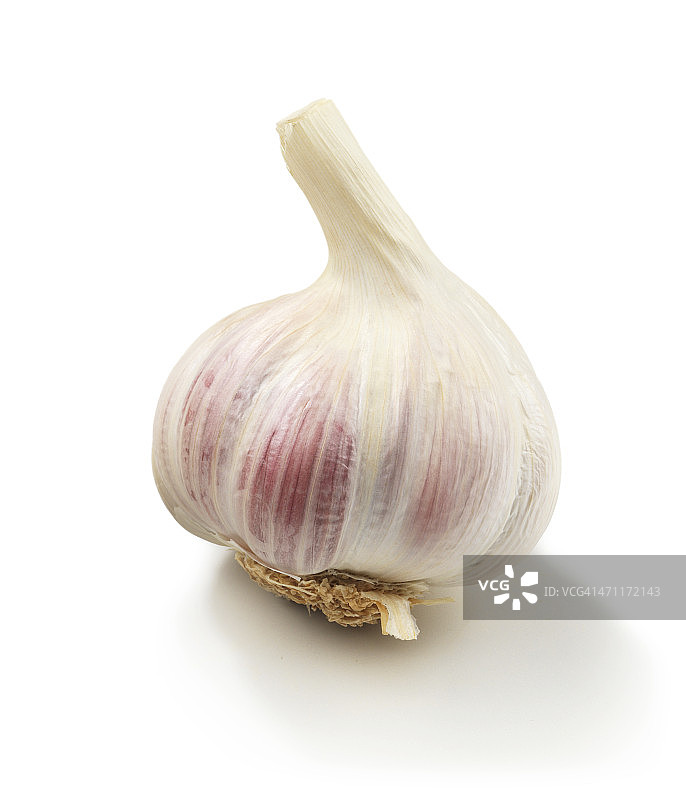 独头蒜图片素材