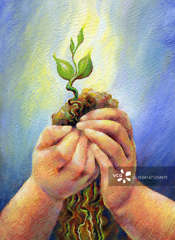 孩子的手捧着小植物图片素材