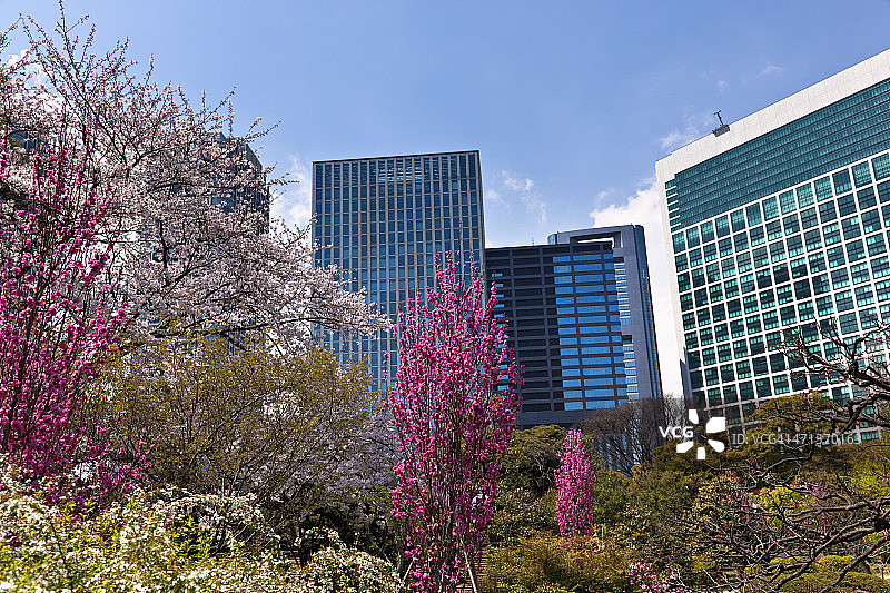 东京办公园区和正式花园图片素材