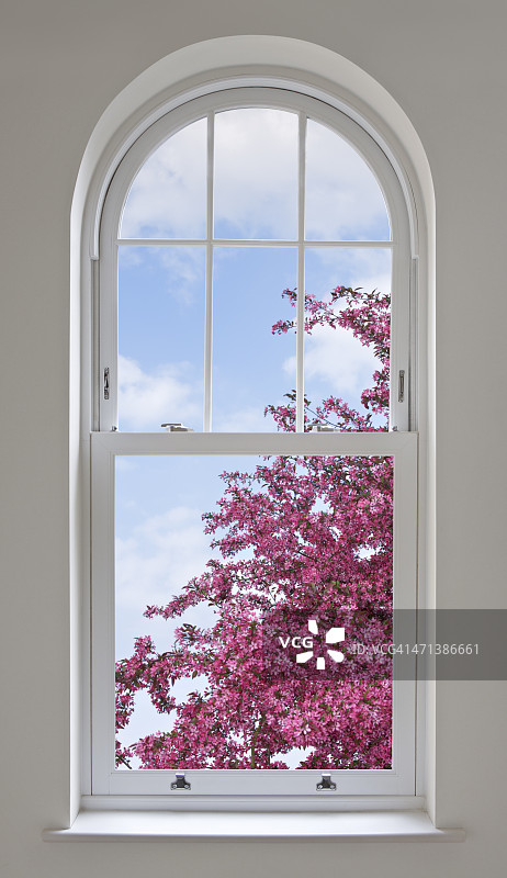 拱形窗户和樱花图片素材