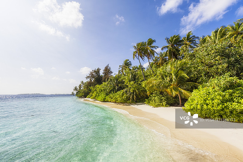 美丽的棕榈滩图片素材