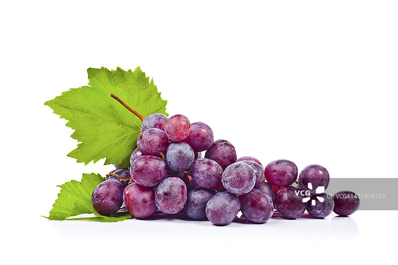 葡萄图片素材