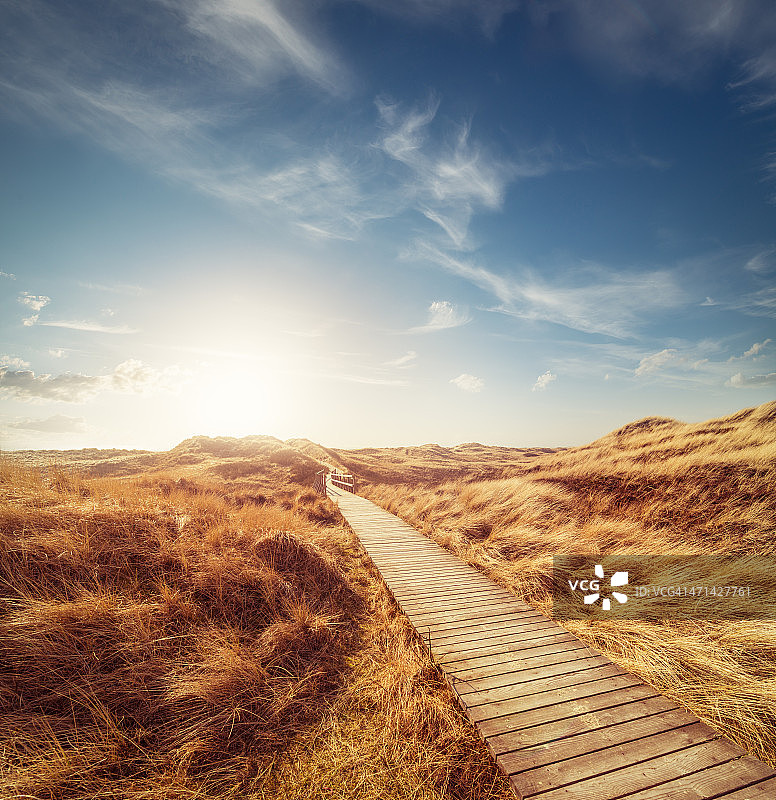 穿过沙丘的路图片素材