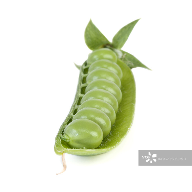 豌豆荚图片素材