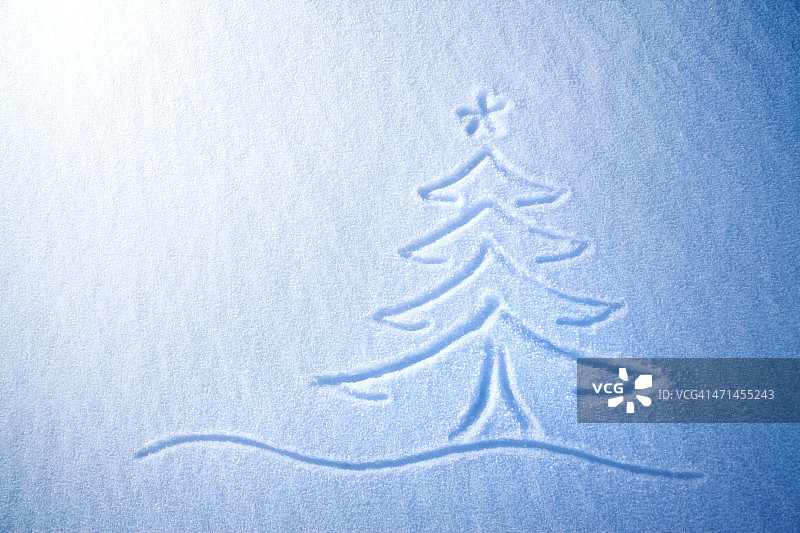 雪地上的圣诞树图片素材