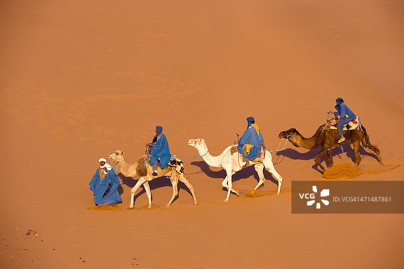 撒哈拉沙漠中的骆驼商队图片素材