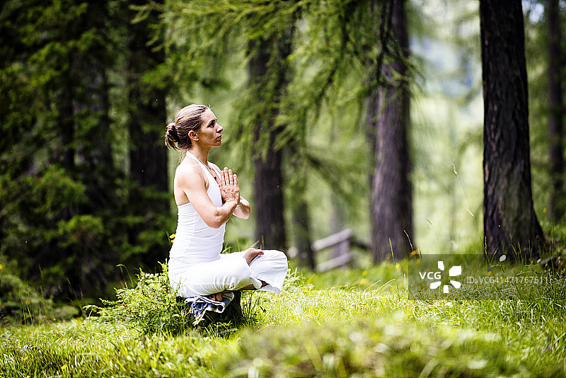 在树林中冥想图片素材