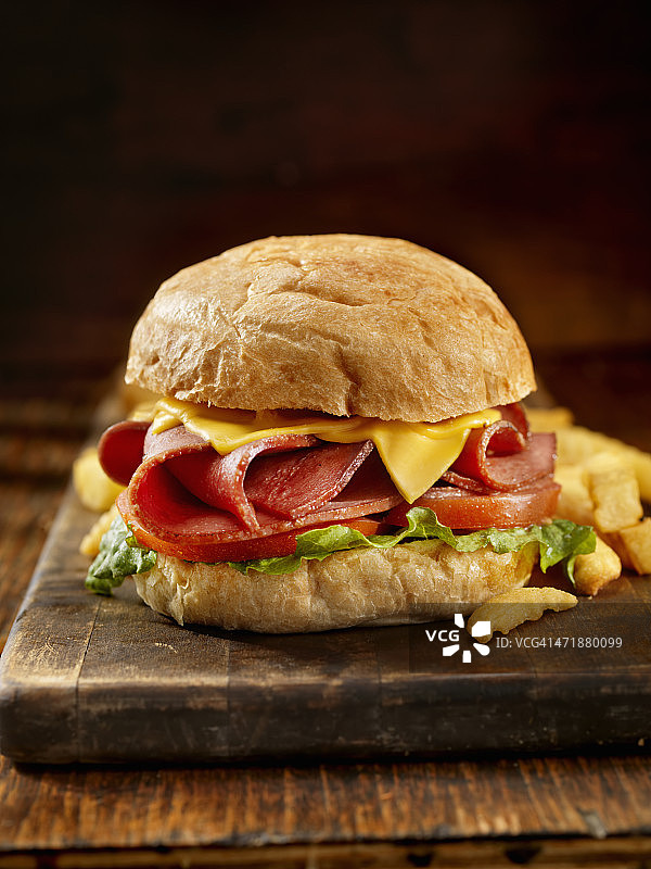 炸博洛尼亚三明治配薯条图片素材