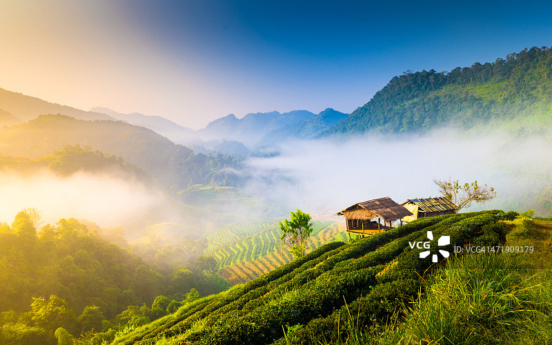 美丽的阳光在薄雾清晨的山脉。图片素材