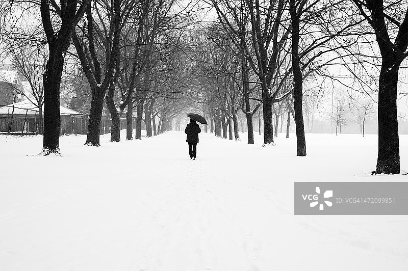 黑白暴风雪图片素材