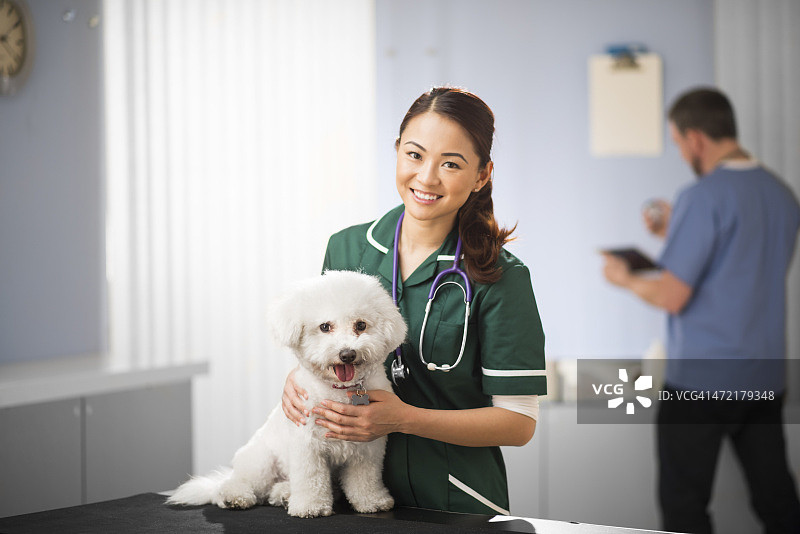 快乐的兽医护士和狗图片素材
