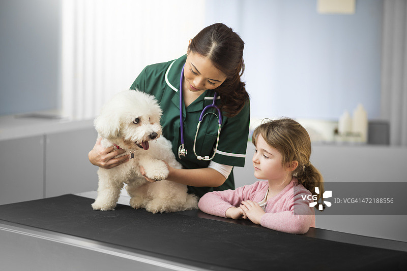 在兽医诊所抱着狗狗的小女孩图片素材