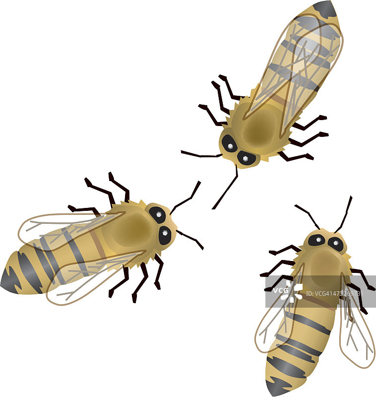 极好的事物图片素材