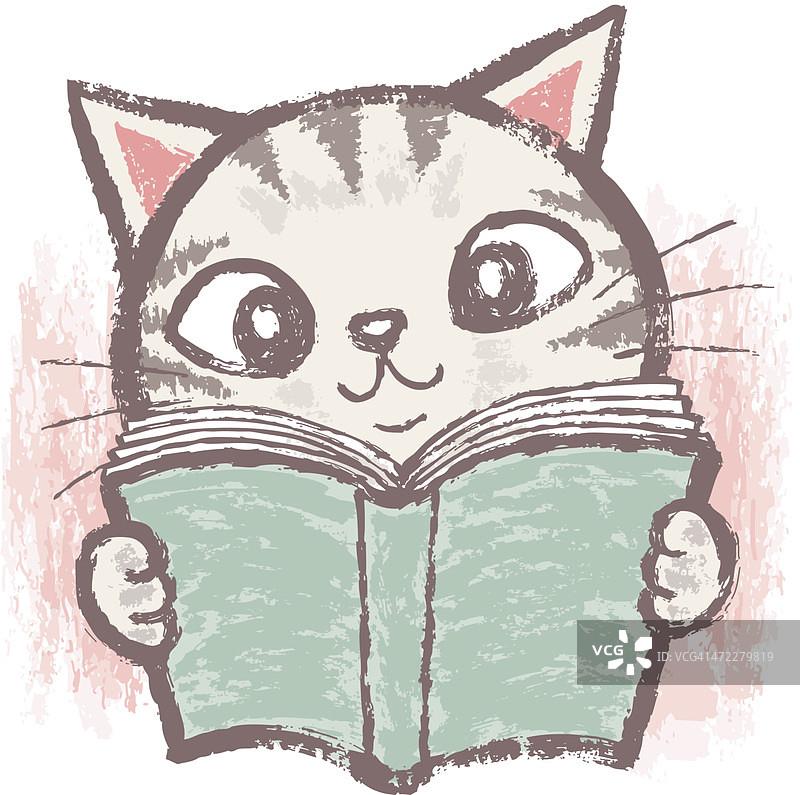 美国短毛猫和书图片素材