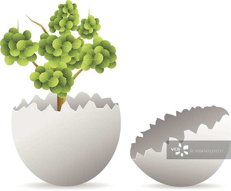 有树的鸡蛋图片素材