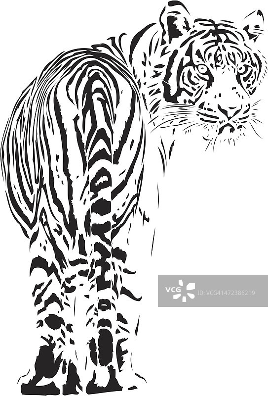 黑色线条老虎插画图片素材