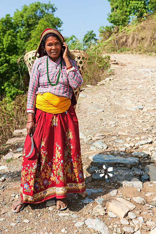 在博卡拉附近 carrying a basket 的尼泊尔女人图片素材