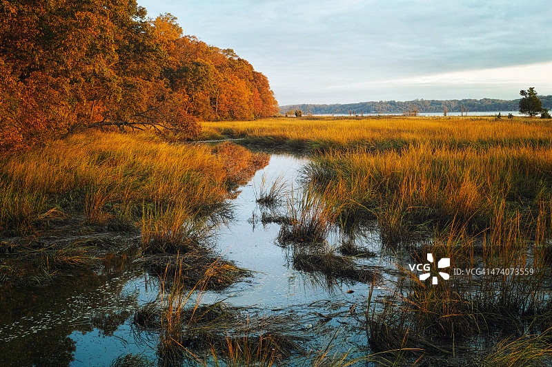 西奥多·罗斯福的住所图片素材