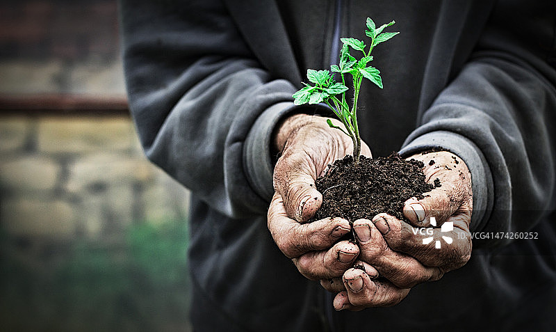 增长与发展图片素材