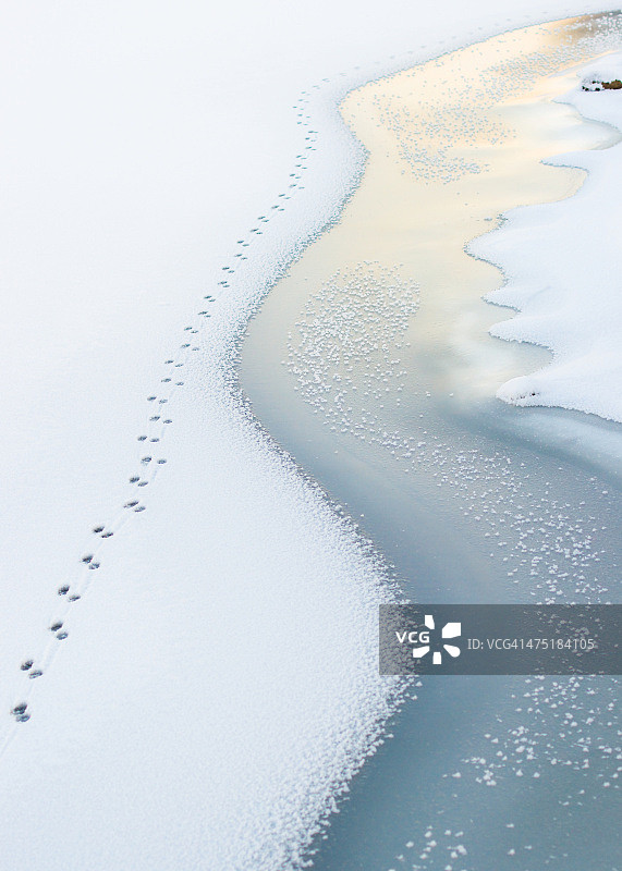 冰封海面上的痕迹图片素材