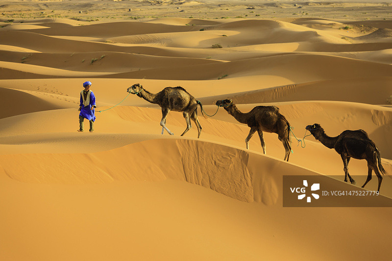 在非洲西撒哈拉沙漠中骑骆驼的年轻图阿雷格人图片素材