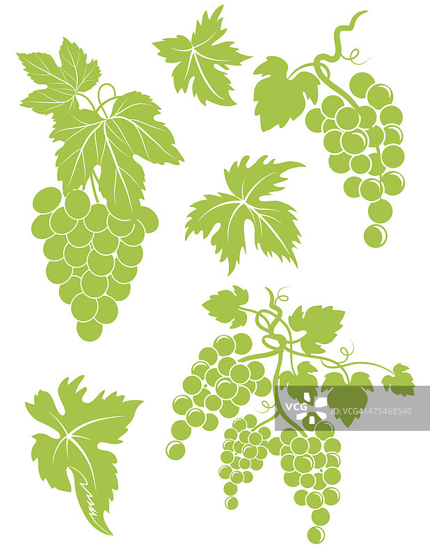 简易葡萄串和叶子合集图片素材