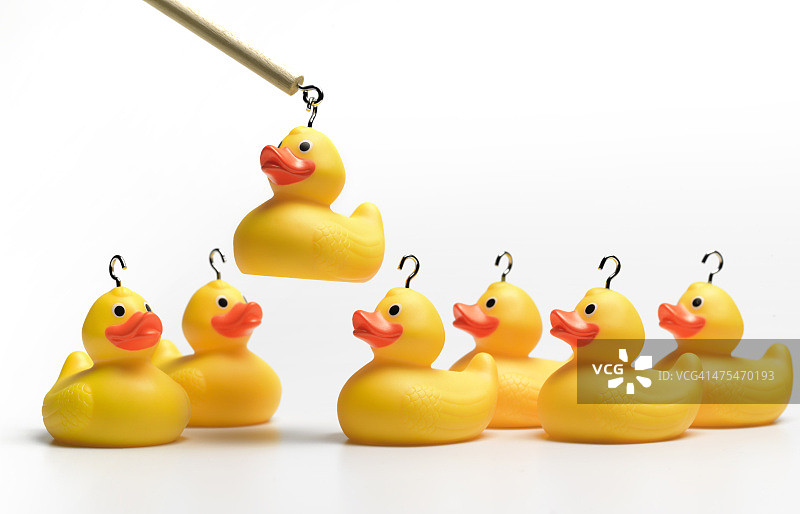 钩住黄色橡胶鸭图片素材