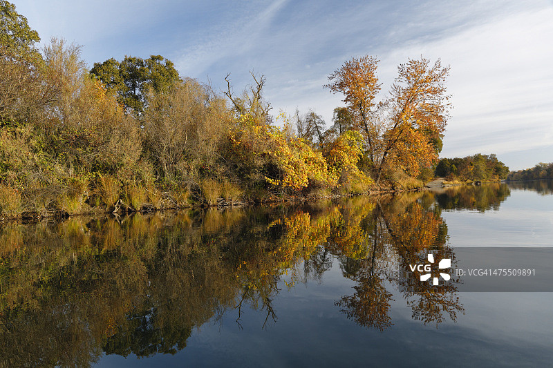 日出时萨克拉门托河的秋季岸线图片素材