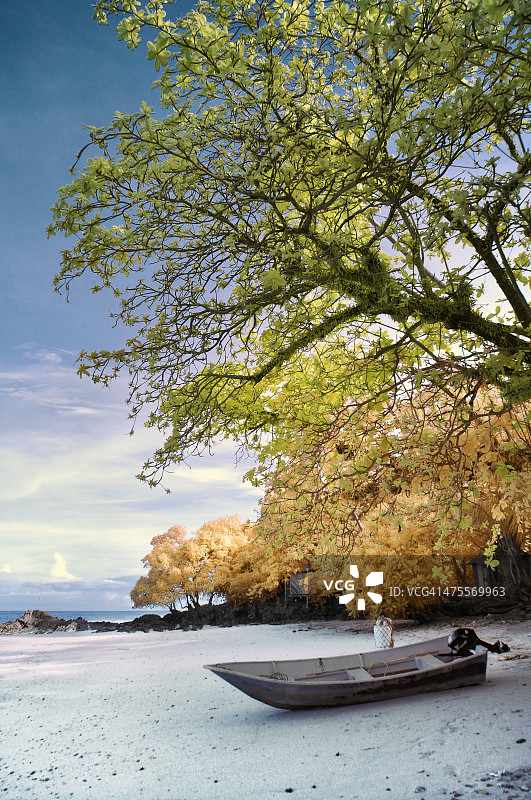 丁加奴卡帕斯岛树荫下的船只图片素材